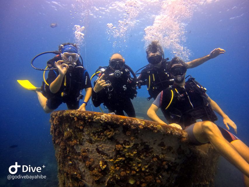 Bayahibe - PADI Open Water Course - Go Dive - Booking Information