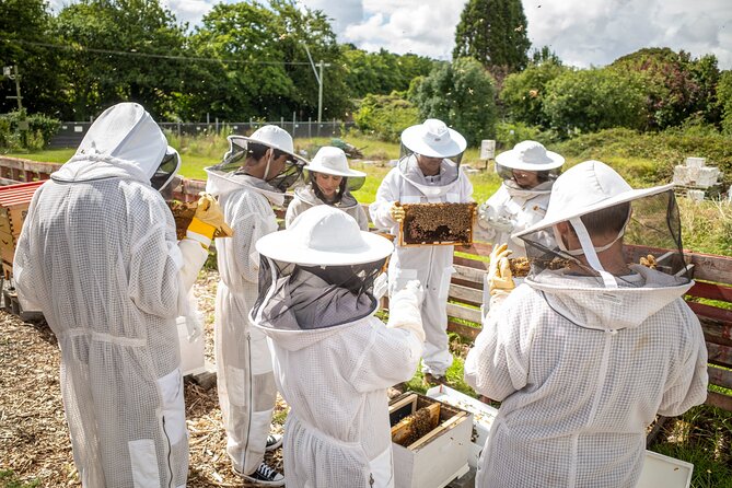 Beekeeping. Honey and Hive. - Inclusions and Services