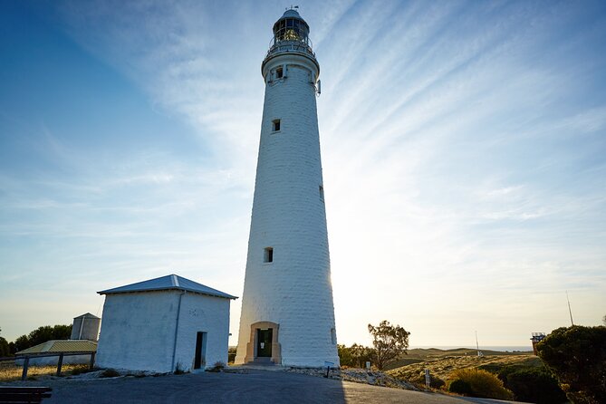 Best of Rotto Self-Guided Tour With Bike and Lunch - Lunch Options on Rottnest Island