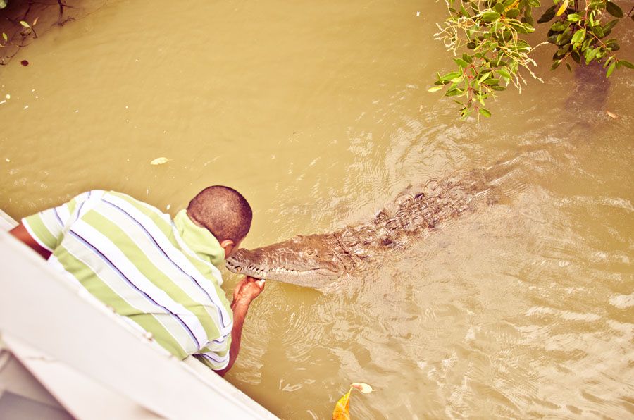 Black River Safari Tour From Montego Bay - Booking Information