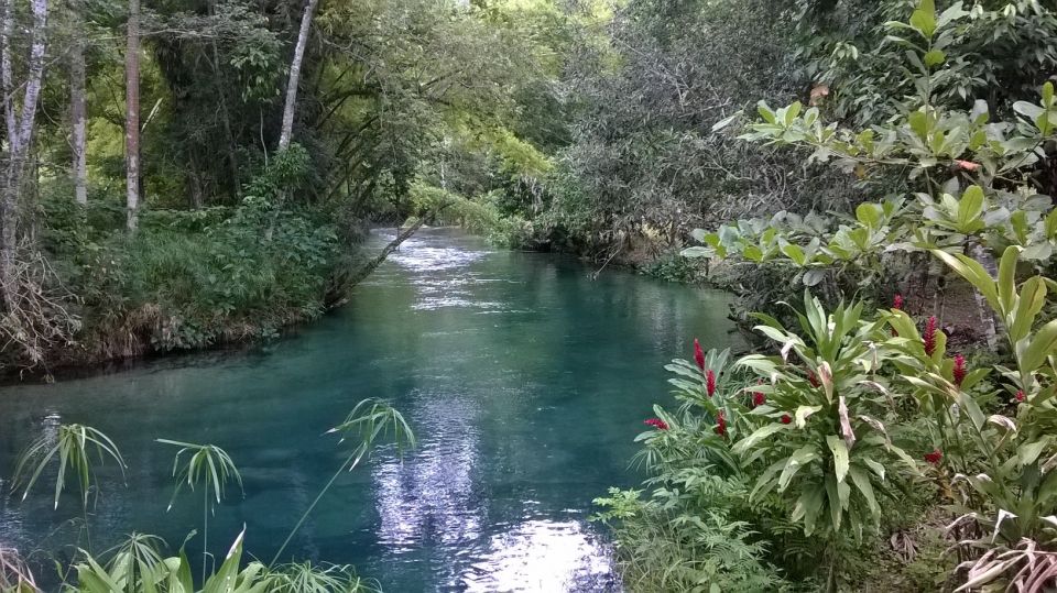 Blue Hole Rainforest Adventure - Booking Information