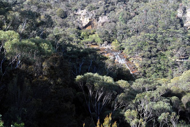 Blue Mountains Tour - Highlights - Aboriginal Culture and Heritage Sites