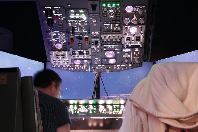 Boeing 737 Flight Simulator Experience - Cockpit Interaction Details