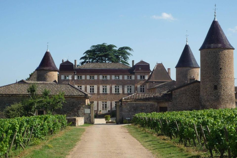 Bordeaux City - Wine Discovery - Wine Museum Visit: Explore & Learn