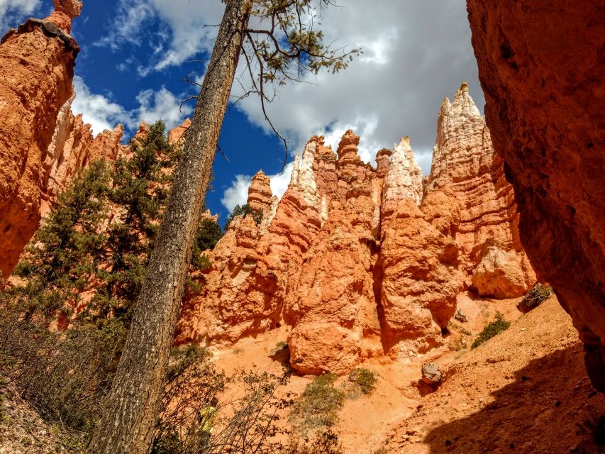 Bryce Canyon National Park Hiking Experience - Expert Guided Hiking Tour Details