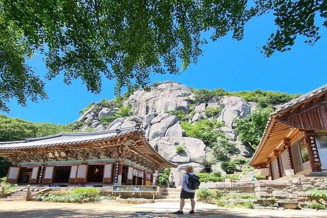 Busan Private Hiking Tour : Panoramic Views Awaits - Tour Highlights
