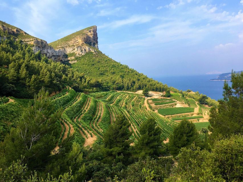 Calanques Of Cassis, the Village and Wine Tasting - Exploring the Village of Cassis
