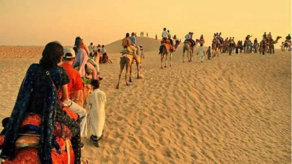 Camel Safari Half Day Tour in Jodhpur With Dinner - Pricing and Inclusions