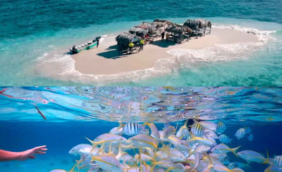 Cayo Arena: Paradise Island & Magroves Tour Private - Experience Itinerary