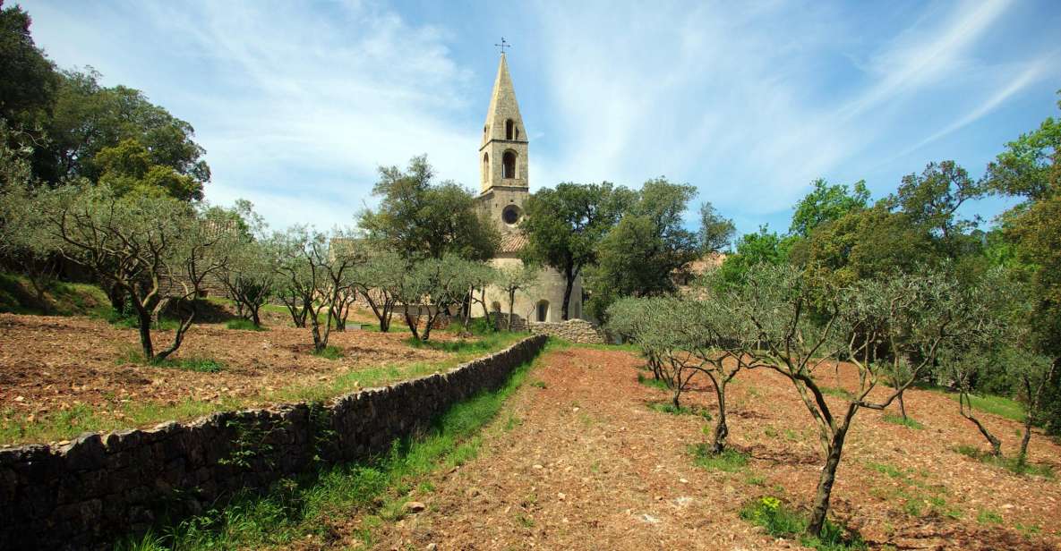 Churches of Provence & French Countryside Private Tour - Activities Included