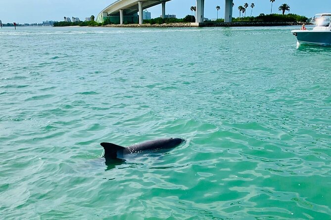 Clearwater Beach Private Pontoon Boat Tour for Six - Expectations and Information