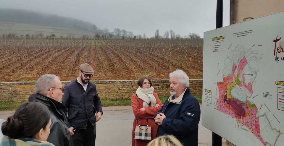 Côte De Nuits Private Local Wineries and Wine Tasting Tour - Tour Highlights