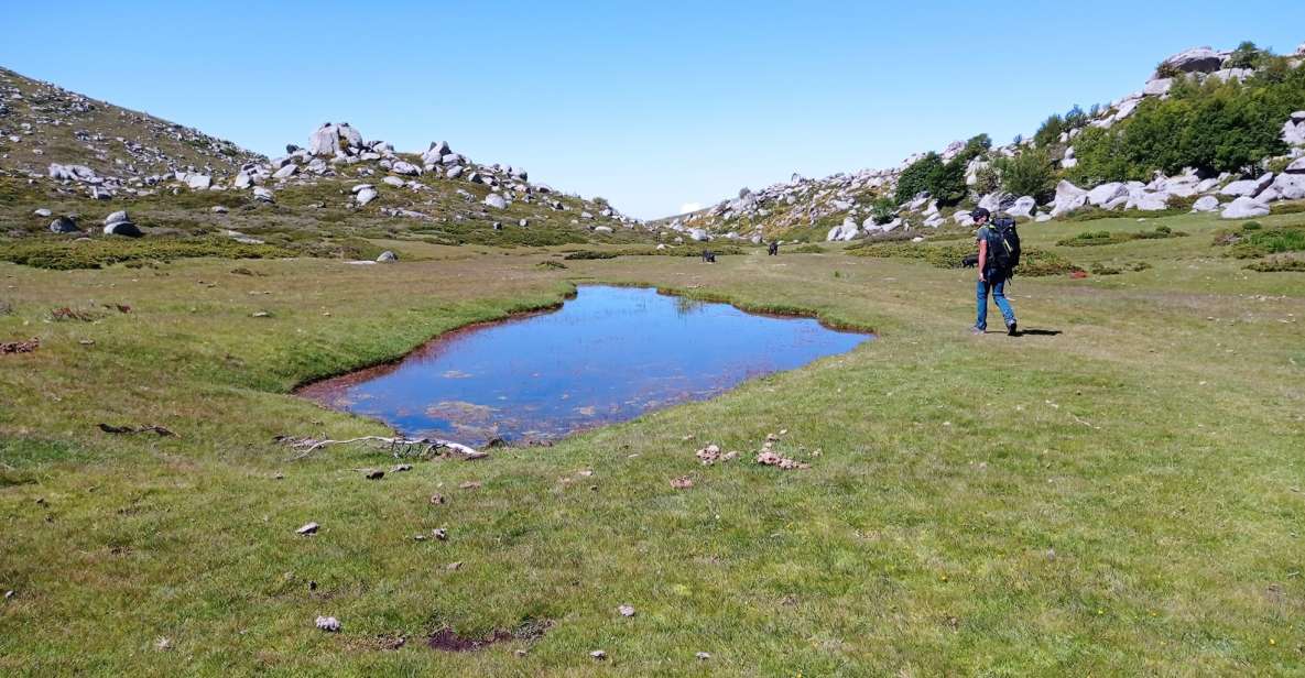 Cuscionus Plateau, 1000 Waterholesgrass : Pozzines - Activity Description