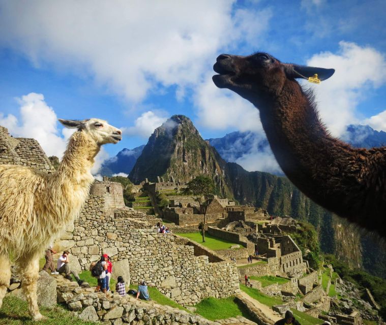 Cusco: Excursion Machu Picchu 1-day by Train | Private Tour - Itinerary