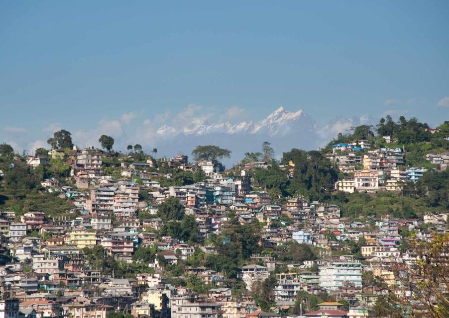 Day Trip to Kalimpong (Guided Private Tour From Darjeeling) - Activity Highlights