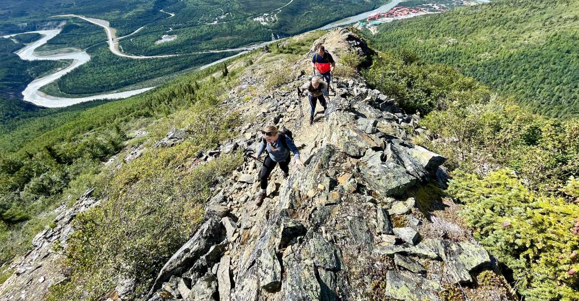 Denali: 5 Hour Guided Into The Mountains Hiking Tour - Experience Highlights