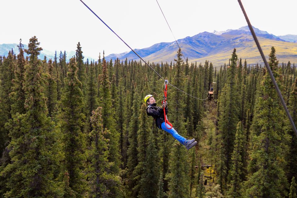 Denali Park Zipline Adventure - Discover the Alaskan Wilderness