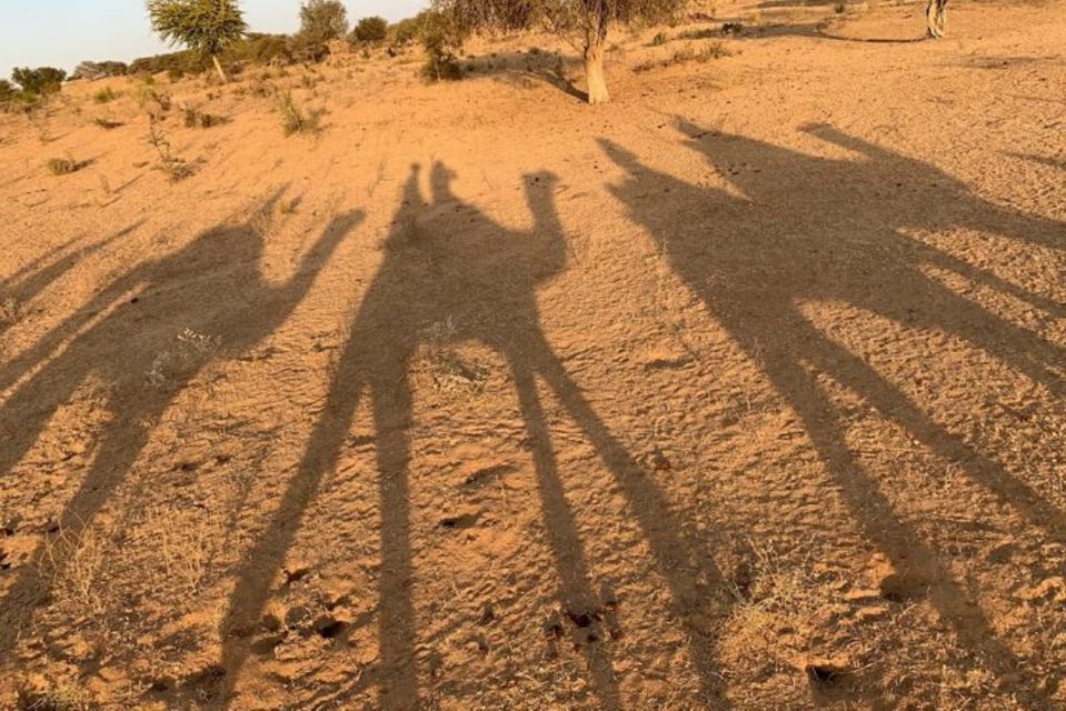 Desert Camel Safari Day Tour In Jodhpur - Common questions