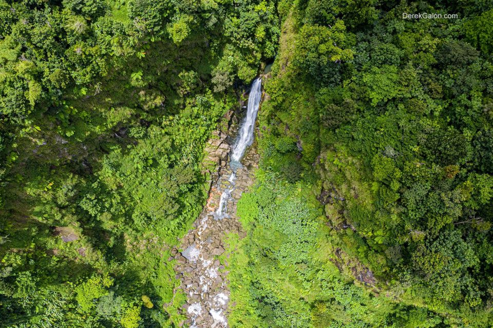 Dominica Adventure Tour - Tour Highlights