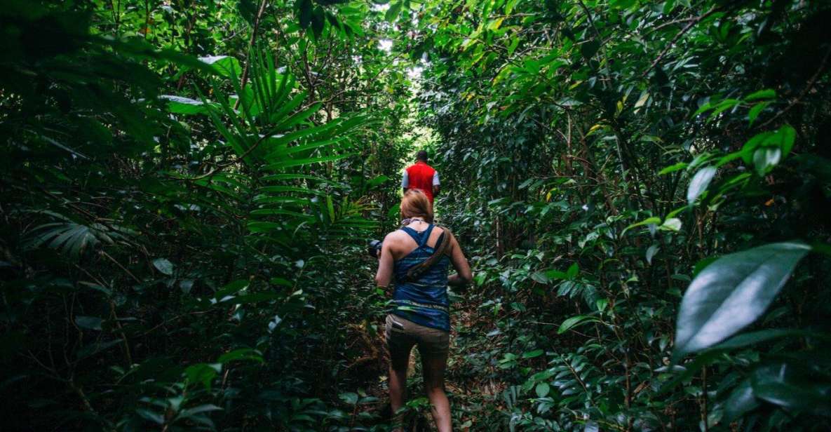 Dominica Hiking Adventures - Breathtaking Scenic Lookouts