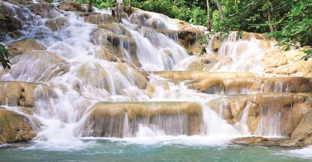 Dunns River Falls and Luminous Lagoon With Transportation - Booking Information