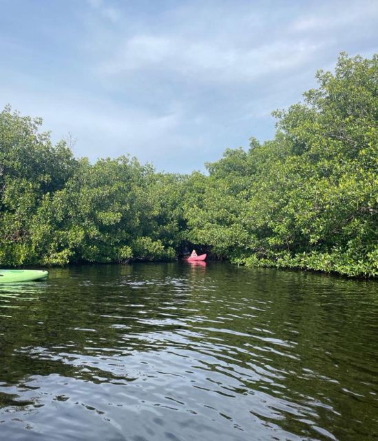 Everglades Kayak Eco Tour - Location and Directions