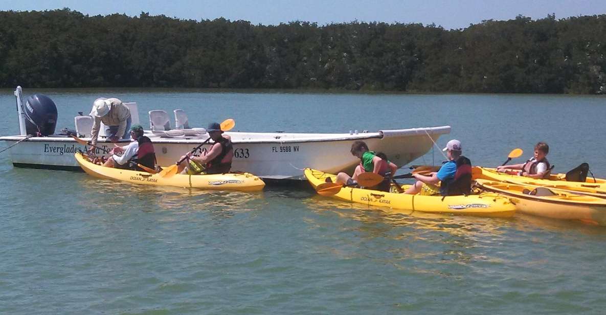 Everglades National Park: Boat Assisted Kayak Eco Tour - Experience Highlights