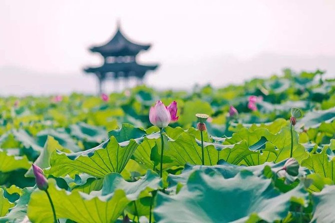 Flexible Hangzhou Private Tour From Shanghai by Bullet Train - Customizable Attractions and Add-Ons