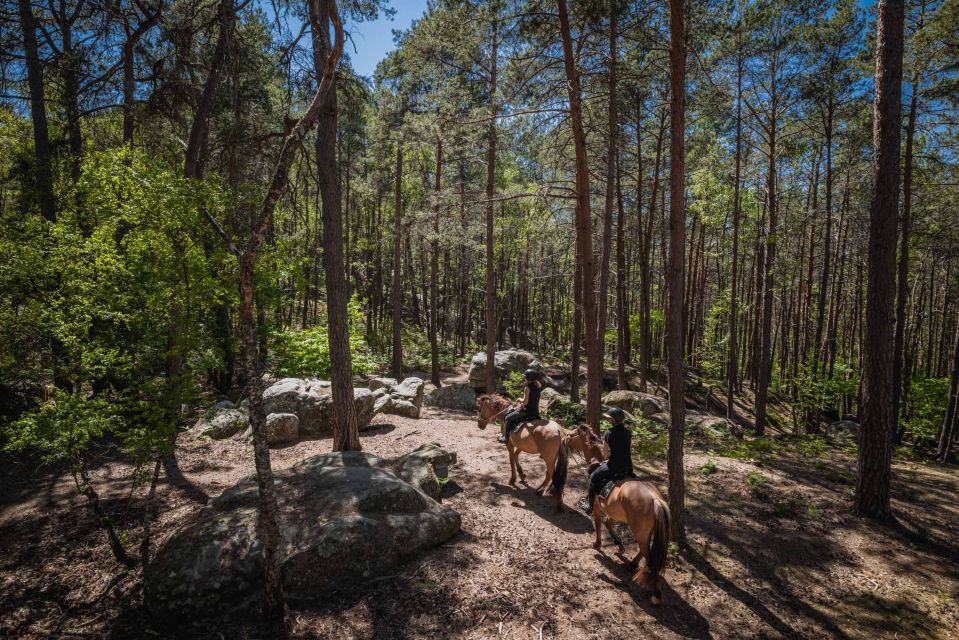 Fontainebleau : Horse-riding, Gastronomy & Château - Gastronomic Delights Lunch