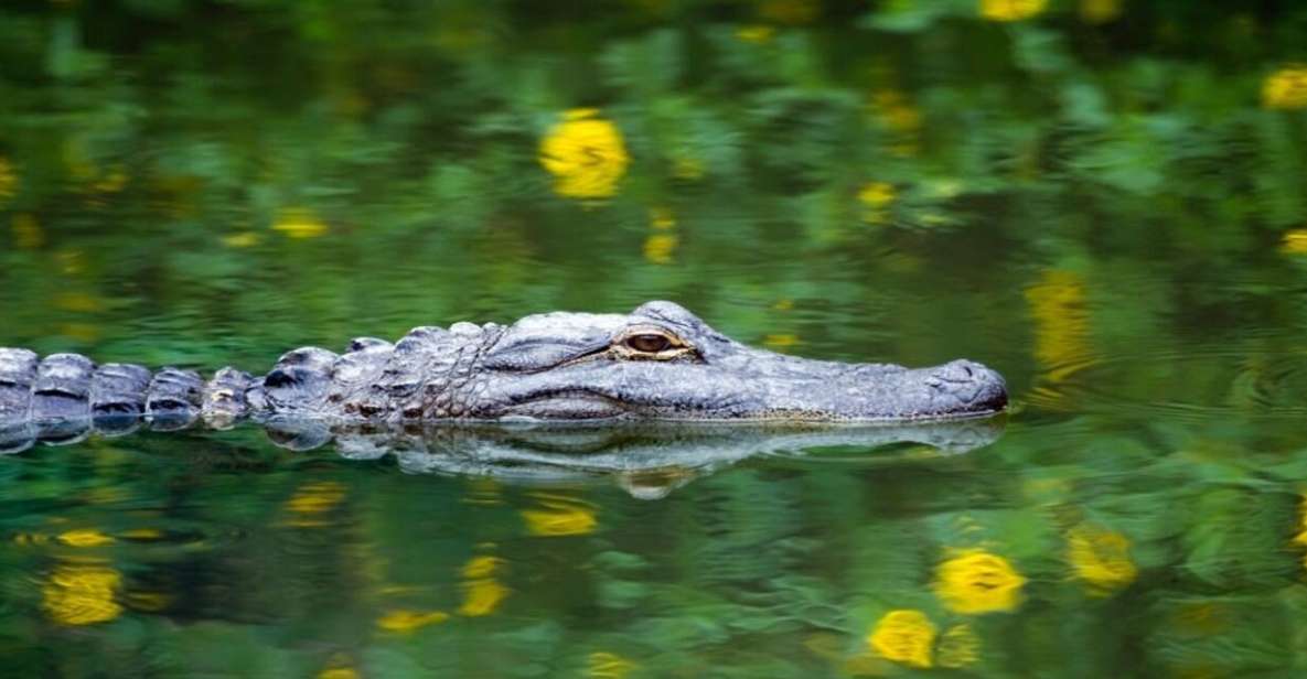 Fort Lauderdale: Everglades Express Tour With Airboat Ride - Location and Price