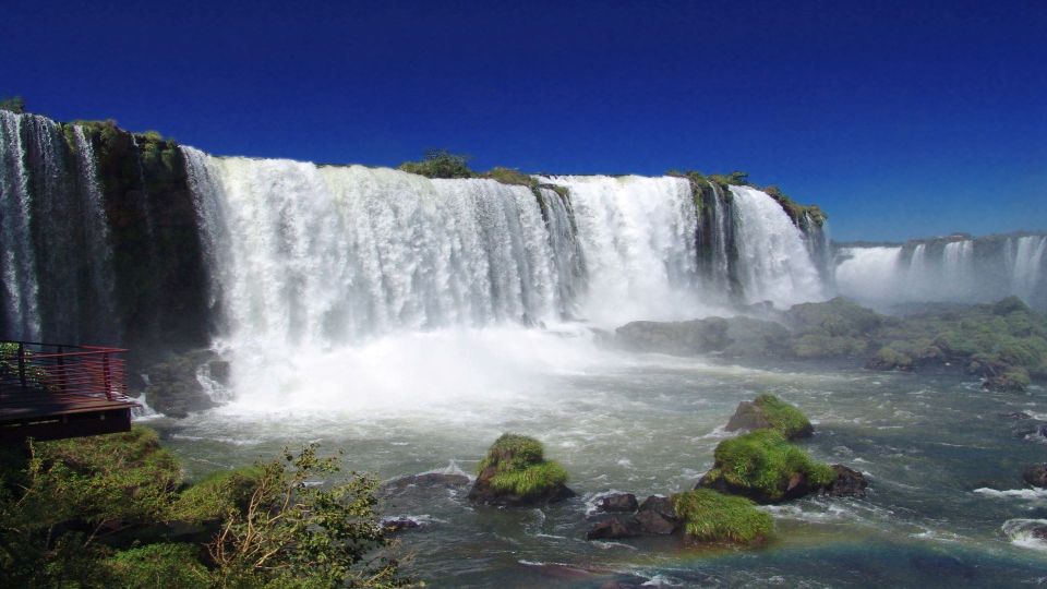 Foz Do Iguaçu: Brazilian Side of the Falls Bird Park - Bird Park Visit