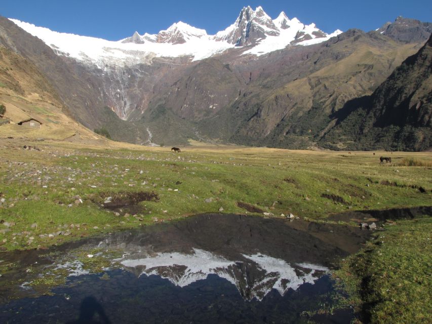 From Ancash: Trekking Alpamayo Cedars |9Days-8Nights| - Activity Description