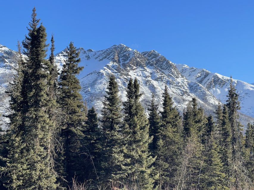 From Anchorage: Chugach State Park Winter Walking Tour - Meeting Point Details