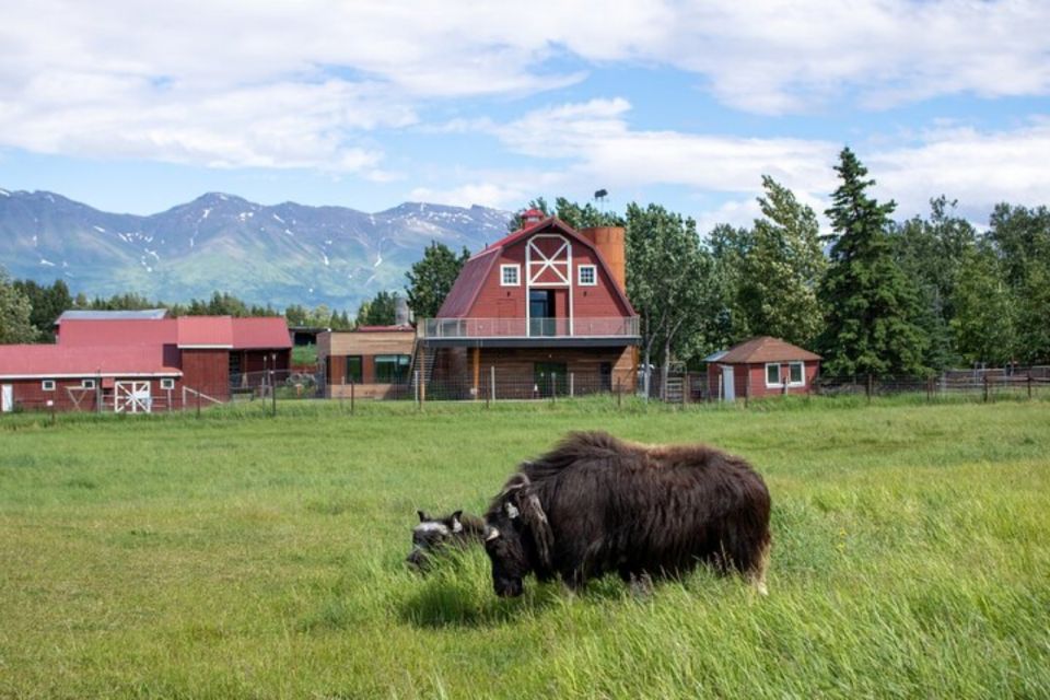 From Anchorage: Scenic Drive and Guided Musk Ox Farm Tour - Tour Inclusions