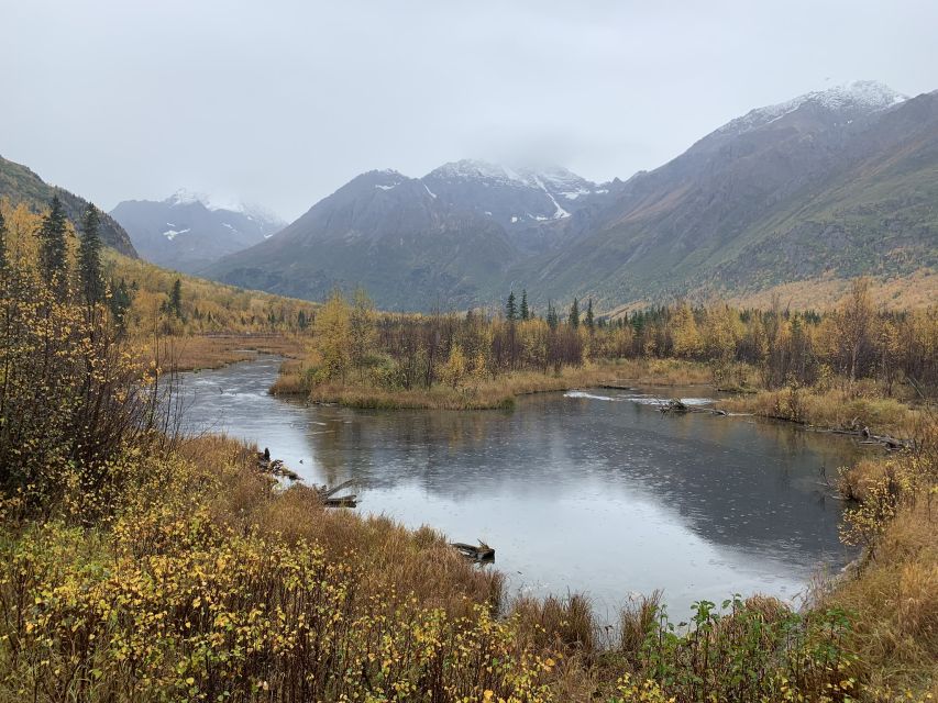 From Anchorage: Valley and Forest Hike With Naturalist Guide - Experience