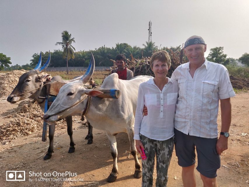 From Bangalore: Day Trip to Somnathpur & Talakadu With Lunch - Customer Reviews