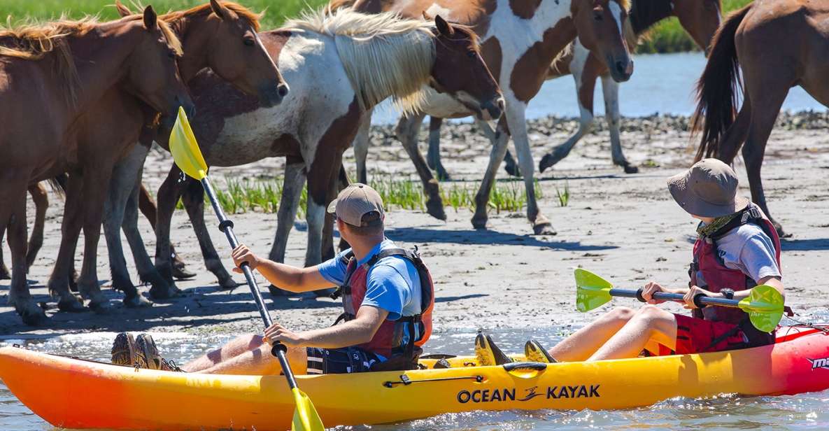 From Chincoteague: Guided Kayak Tour to Assateague Island - Tour Highlights