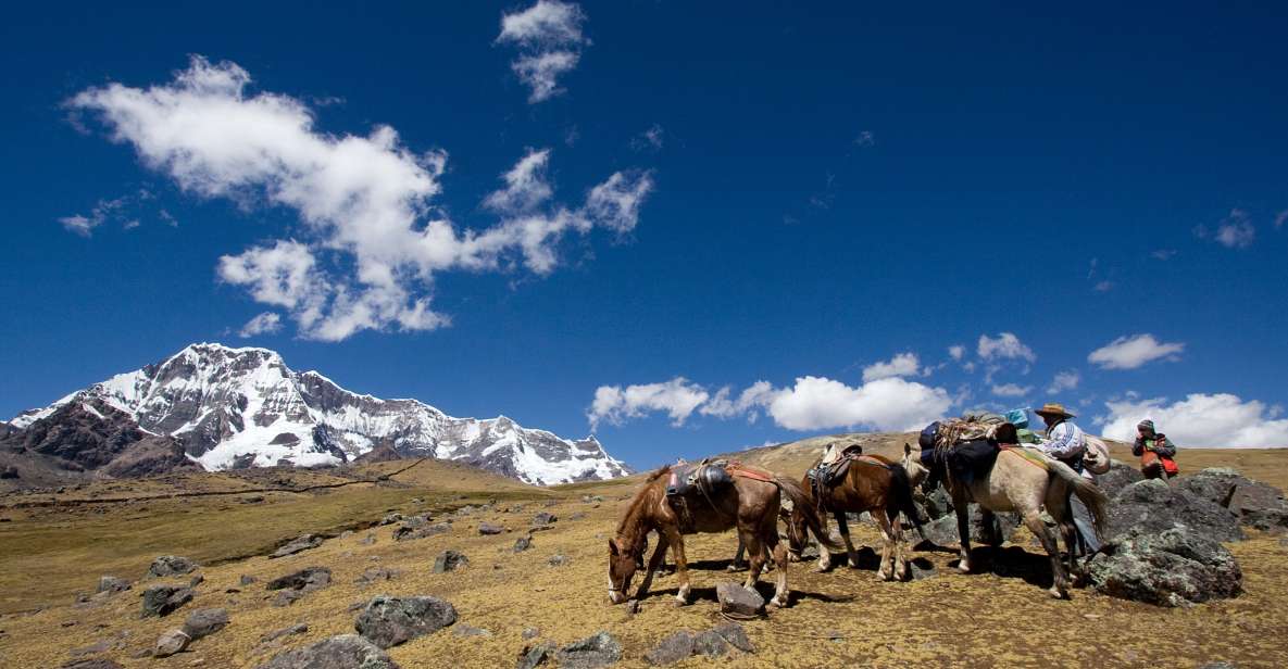 From Cusco: 2-Day Rainbow Mountain Hiking and Camping Trip - Itinerary Details