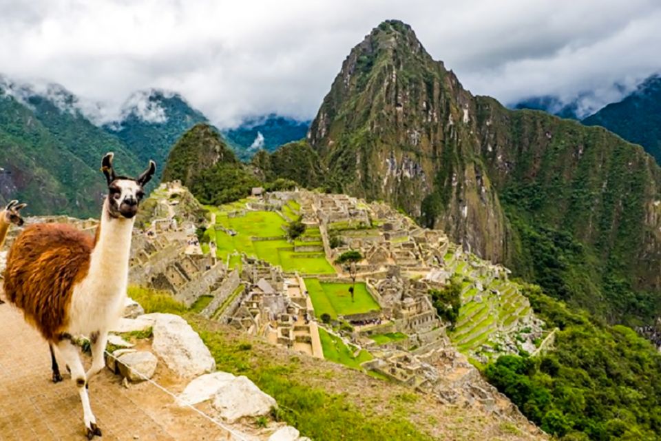 From Cusco: Full-Day Group Tour of Machu Picchu - Pricing and Duration