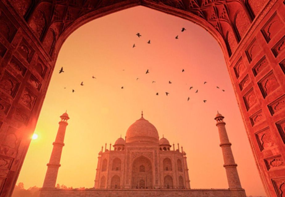 From Delhi:Sunrise Taj Mahal Tour With Elephant Conservation - Itinerary Highlights