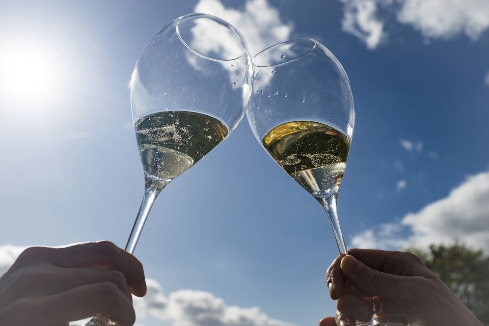 From Epernay: Afternoon Champagne Tour With 6 Tastings - Tour Details