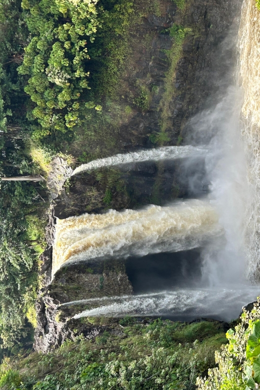 From Hilo: Hawaii Volcanoes National Park Tour - Highlights