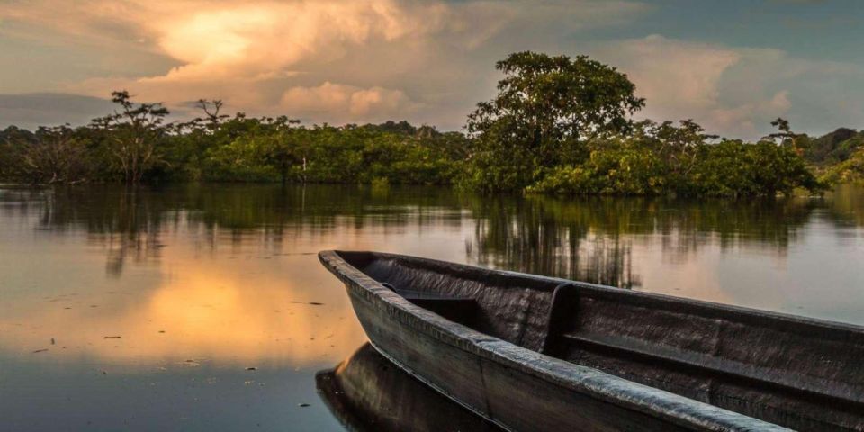 From Iquitos || 4 Day Yanayacu River Tour With Bird Watching - Itinerary Highlights