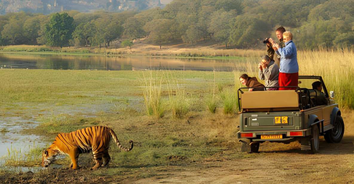 From Jaipur : 2 Days Ranthambore Tiger Safari Tour By Car - Important Information