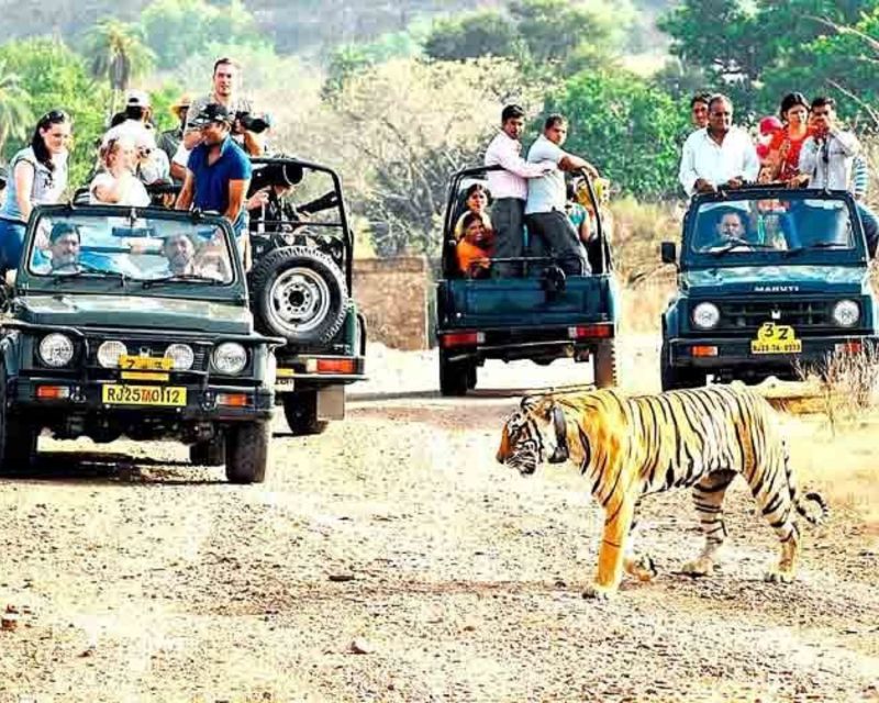 From Jaipur: Guided Ranthambore Tour With Cab - Inclusions in the Tour Package