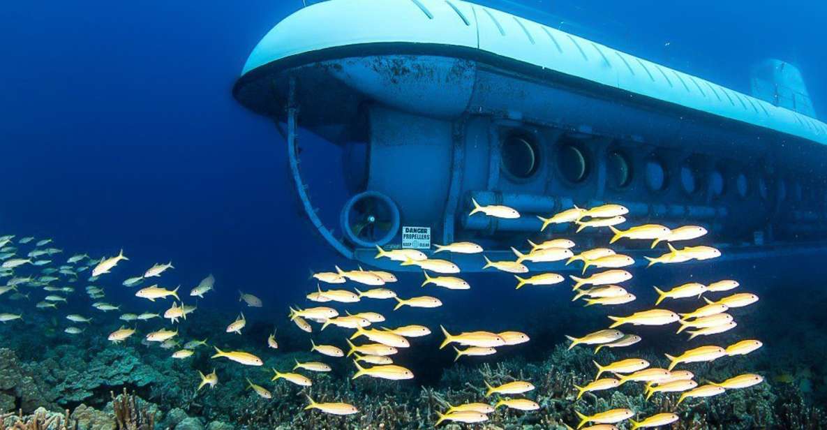 From Kona: Big Island Underwater Submarine Adventure - Experience Highlights