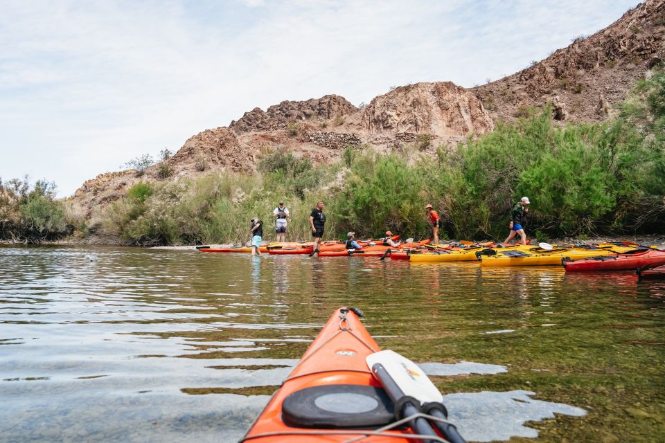 From Las Vegas: Black Canyon Half-Day Kayak Tour - Activity Highlights