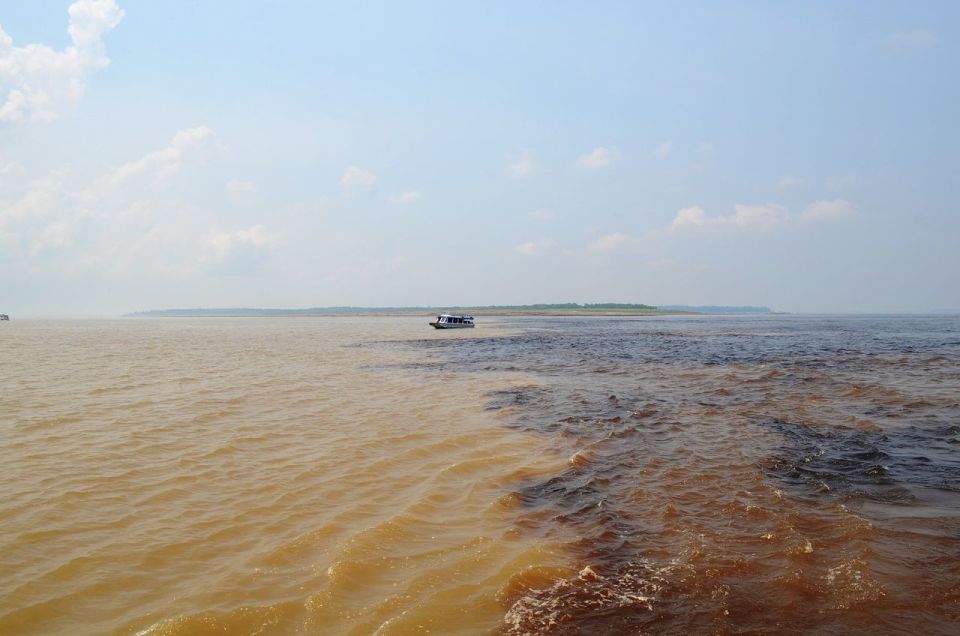 From Manaus: 3 or 4-Day Rio Negro & Anavilhanas River Cruise - Visitor Reviews and Recommendations