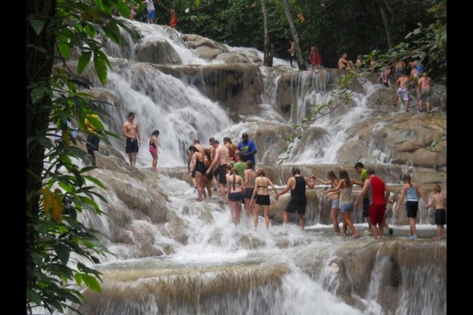 From Montego Bay: Dunns River and Secret Falls Tour by Van - Activity Description