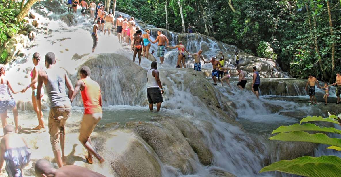 From Montego Bay: Dunn's River Falls Experience - Activity Description